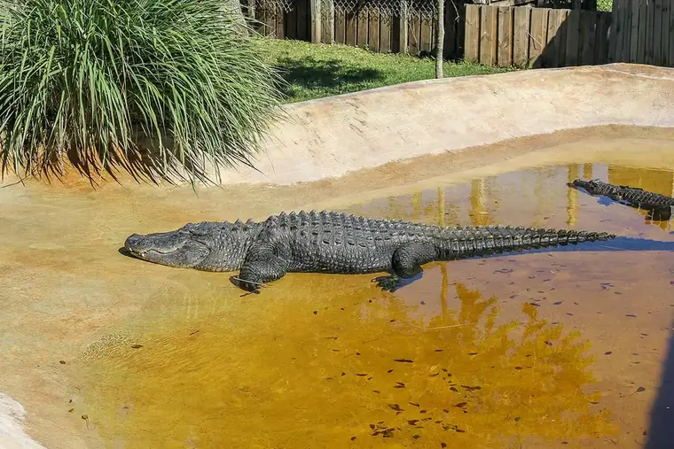 Stand-in photo for Round Island Riverfront Park, Vero Beach
